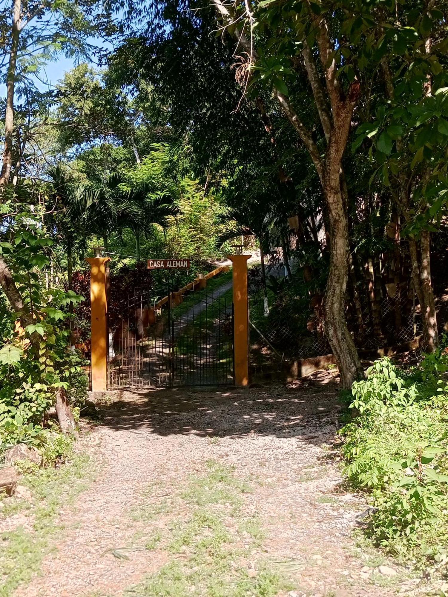 Casa Aleman Διαμέρισμα Flores Εξωτερικό φωτογραφία